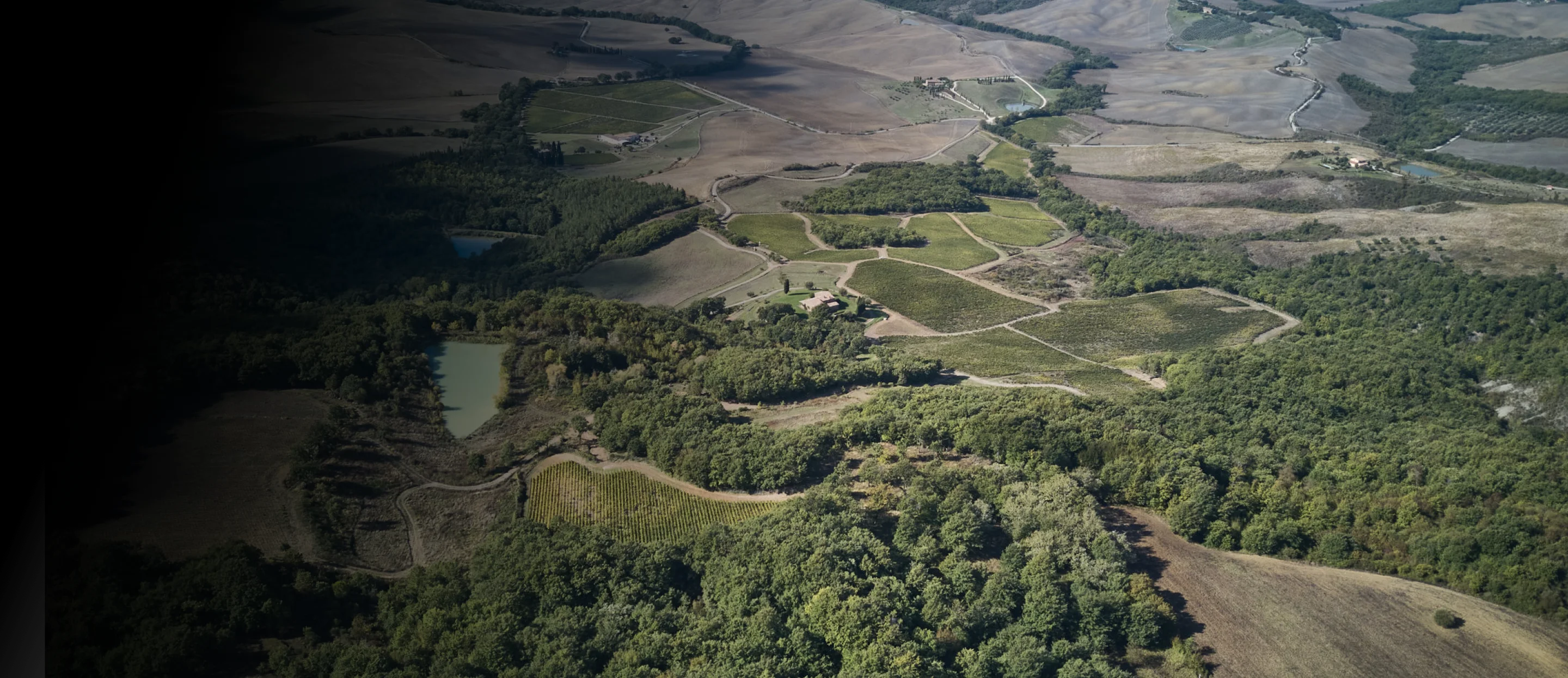 slider image 1621243260e1af0c20-0